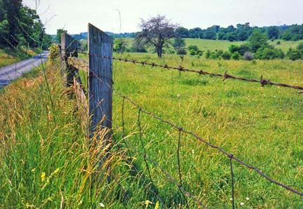 barb wire fence