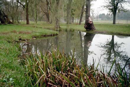 peaceful creek