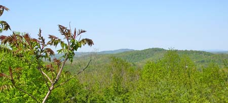 mountain scene